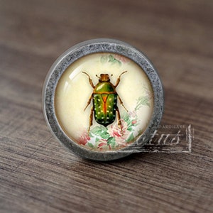 May include: A round, silver-colored cabinet knob with a glass insert featuring a green beetle with black and white markings on a floral background.