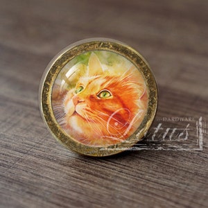 May include: A round, gold-toned knob with a glass insert featuring a close-up portrait of a ginger cat with green eyes. The cat is looking up and to the right.