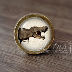 May include: A round, brass-colored cabinet knob with a glass insert featuring a vintage illustration of a Tyrannosaurus Rex with its mouth open. The knob has a distressed finish and a raised edge around the glass insert.