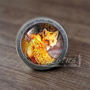 Pode incluir: Um botão de armário redondo, prateado, com um inserto de vidro que apresenta uma imagem em close-up de uma raposa vermelha com uma pelagem amarela e laranja.