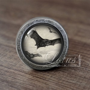 May include: A silver knob with a glass insert featuring a vintage illustration of bats in flight. The bats are black and white and the background is a light cream color.