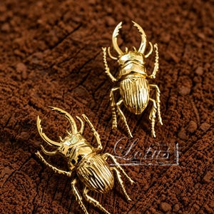 May include: Two gold-colored beetle-shaped brooches with detailed textures, set against a brown, textured surface. The brooches have prominent antennae and leg details. The word "Lotus" is visible in the image.