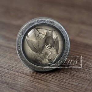 May include: A silver knob with a round, glass-like surface featuring a black and white illustration of a bat. The bat is depicted in flight with its wings spread wide.