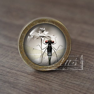 Könnte beinhalten: Ein runder, messingfarbener Schrankknopf mit einem Glaseinsatz, der eine schwarze Libelle mit roten Augen und weißen Flügeln zeigt. Die Libelle sitzt auf einer weißen Blüte.
