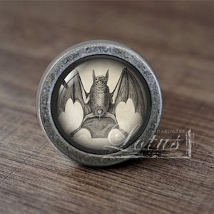 May include: A silver knob with a round, glass insert featuring a vintage illustration of a bat with spread wings.