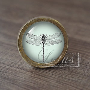 May include: A round, brass-colored cabinet knob with a glass insert featuring a black and white dragonfly illustration on a light blue background.