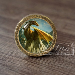 Op de afbeelding: Een ronde, gouden metalen knop met een gedetailleerd ontwerp. De knop heeft een kleurrijk beeld van een draak met uitgespreide vleugels, tegen een blauwe lucht en een groen landschap.