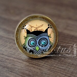 May include: A round, brass-colored knob with a glass insert featuring a cartoon owl with blue eyes and a green and black patterned design. The owl is set against a cream-colored background with black script.