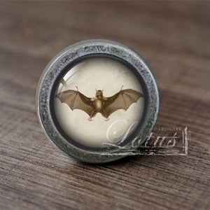 May include: A silver knob with a round, glass-like surface featuring a vintage illustration of a bat with brown wings. The knob is on a wooden surface.