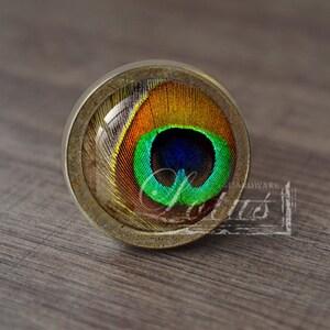 May include: A round cabinet knob with a peacock feather design. The knob features a clear, domed glass over a vibrant peacock feather with green, blue, orange, and yellow hues. The metal base has a rustic, antique finish.