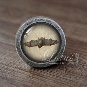 May include: A silver knob with a glass insert featuring a vintage illustration of a bat. The knob is designed for use on cabinets, drawers, or furniture.