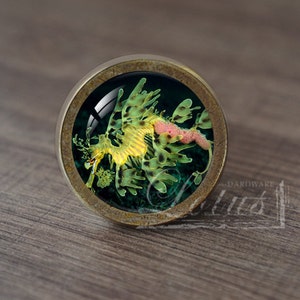 May include: A brass cabinet knob with a glass insert featuring a yellow and green leafy sea dragon on a dark blue background.