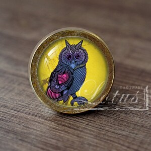 May include: A round, brass-colored cabinet knob with a glass insert featuring a colorful, detailed illustration of an owl on a yellow background.