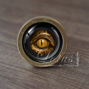 Puede incluir: Primer plano de un objetivo de cámara con un ojo dorado que lo atraviesa. El objetivo está rodeado por un anillo de color latón.