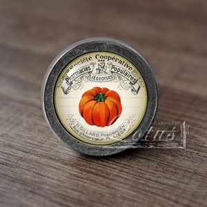 Può includere: Un bottone rotondo in metallo con un'etichetta in stile vintage. L'etichetta presenta un'illustrazione di zucca arancione e testo in francese, tra cui "Société Coopérative Populaire" e "Pharmacies Liégeoises".
