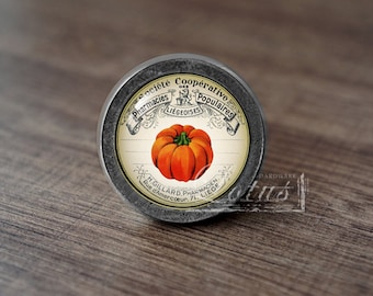 May include: A round, metal button with a vintage-style label featuring an orange pumpkin illustration. The label includes text in French, with the words "Société Coopérative Populaire" and "Pharmacies Liégeoises".