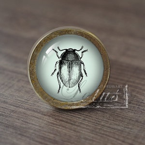 Insecto: perillas de cajón antiguas hechas a mano, tiradores de manijas/perillas de tocador, manijas de gabinete/herrajes para muebles