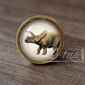 Pode incluir: Um botão de armário redondo de cor latão com um inserto de vidro que apresenta uma ilustração vintage de um dinossauro triceratops marrom.