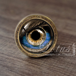 Creepy Ghost Zombies Dead Handmade Vintage Antique Drawer Knobs Pulls Handles/Dresser Knobs Cabinet Pull handles / Furniture Hardware