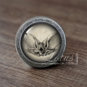 May include: A circular cabinet knob with a silver-coloured frame, featuring a detailed bat illustration under a glass dome. The bat is shown with open wings and mouth. The knob sits on a wooden surface.