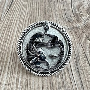 Puede incluir: Un colgante de plata con un diseño detallado de una cara de mujer rodeada por una serpiente. El colgante es circular y tiene un borde texturizado.