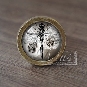 Könnte beinhalten: Ein runder, antiker Messing-Schrankknauf mit einem Glaseinsatz, der eine Schwarzweißillustration einer Libelle zeigt.