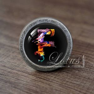 May include: A silver cabinet knob with a black background and a colourful letter F in the centre.