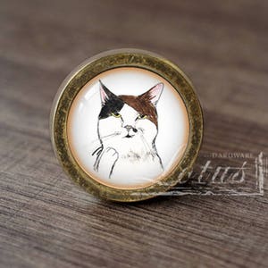 Cat-Glass Cabochon Bronze Cabinet Dresser Knobs pull / Dresser Knobs Cabinet Pull handles /Cabinet Knobs / Furniture Hardware