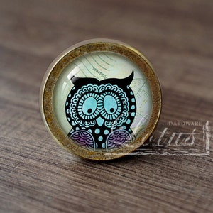 May include: A round, brass-colored cabinet knob with a glass insert featuring a black and white owl with blue eyes and purple and pink accents. The owl is on a background of a vintage postcard with faded text.