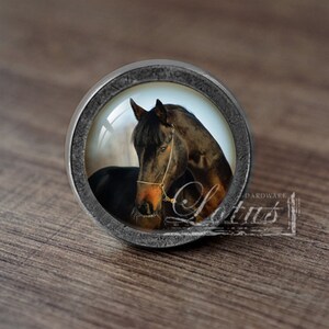 Op de afbeelding: Een ronde, zilverkleurige kastknop met een glazen inzetstuk met een close-up afbeelding van een bruin paardenhoofd.