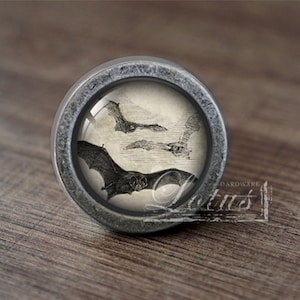 May include: A silver knob with a round, glass-like surface featuring a vintage illustration of bats in flight. The knob has a raised, textured rim.