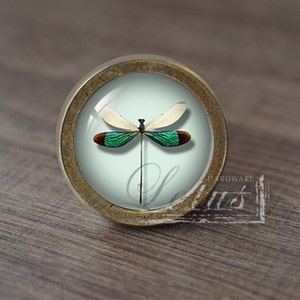 May include: A round, brass-colored cabinet knob with a glass insert featuring a green and white dragonfly on a light blue background.