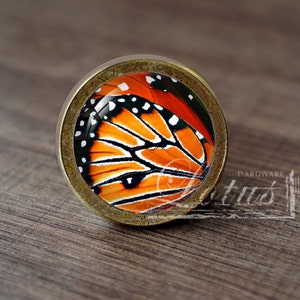 Könnte beinhalten: Ein runder, messingfarbener Schrank-Knopf mit einem Glaseinsatz, der eine Nahaufnahme der orangefarbenen und schwarzen Flügel eines Monarchfalters zeigt.