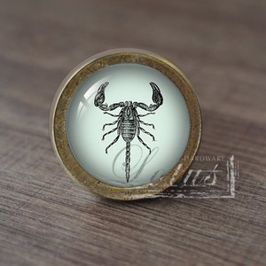 May include: A round, brass-colored cabinet knob with a glass insert featuring a black and white illustration of a scorpion.