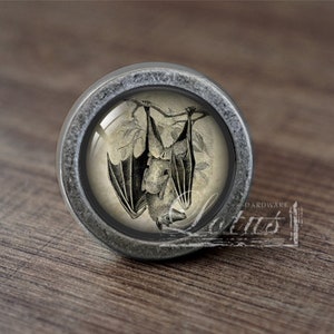 May include: A silver knob with a glass insert featuring a vintage illustration of a bat hanging upside down from a branch.