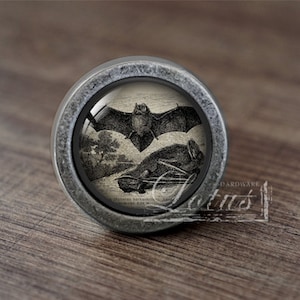 May include: A silver knob with a glass insert featuring a vintage illustration of a bat in flight. The bat is black and white and is set against a light background.