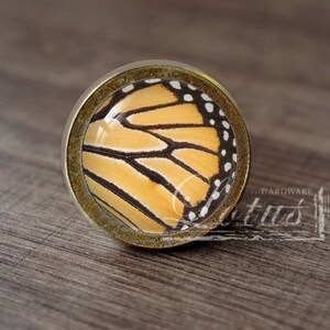 May include: A round, brass-colored cabinet knob with a clear glass insert featuring a detailed image of a monarch butterfly wing. The wing is orange with black veins and white spots.