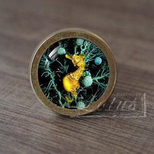 May include: A round, brass-colored cabinet knob with a glass insert featuring a yellow seahorse swimming in a blue and green coral reef.