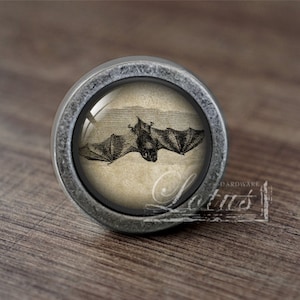 May include: A circular cabinet knob with a silver-coloured metal surround and a glass insert. The insert displays a vintage illustration of a bat with outstretched wings. The knob sits on a wooden surface.