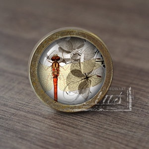 Könnte beinhalten: Ein runder, messingfarbener Schrankknopf mit einem Glaseinsatz, der eine rote Libelle und zarte, weiße, durchscheinende Blätter zeigt.
