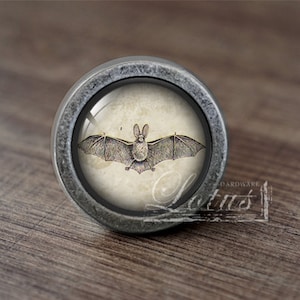 May include: A silver knob with a round, glass top featuring a vintage illustration of a bat. The knob has a slightly distressed finish.