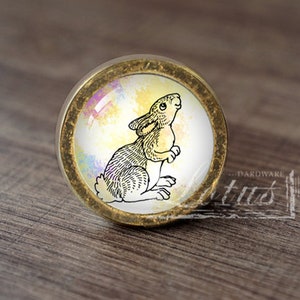 May include: A round, gold-colored cabinet knob with a glass insert featuring a black and white illustration of a rabbit on a watercolor background.