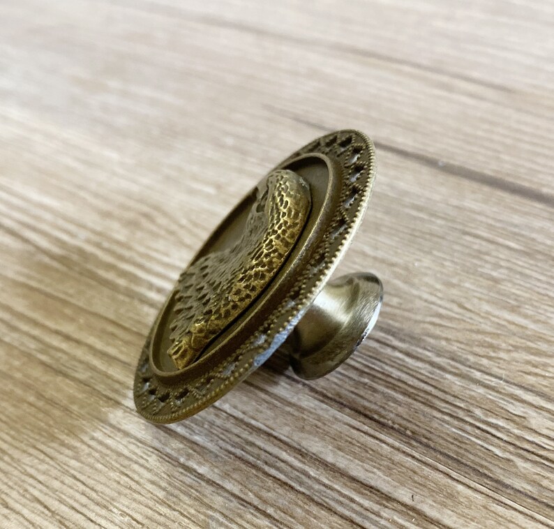 May include: A round, brass cabinet knob featuring an eagle design. The knob has a decorative border and a textured surface.