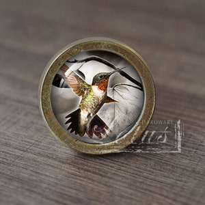 May include: A round, brass-colored cabinet knob with a glass insert featuring a hummingbird in flight against a white background with a branch and leaves.