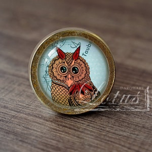 May include: A round, brass-colored cabinet knob with a glass insert featuring a colorful owl illustration. The owl has red feathers, green eyes, and a detailed pattern on its body. The text "Taube" is visible in the background.