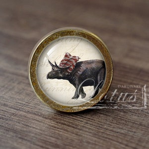 May include: A round, brass cabinet knob with a glass insert featuring a vintage illustration of a dinosaur wearing a red and white striped hat. The knob has a distressed finish.