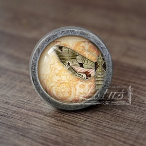 May include: A round, silver-toned cabinet knob with a glass insert featuring a vintage-style image of a butterfly with brown, green, and pink wings on a cream background.