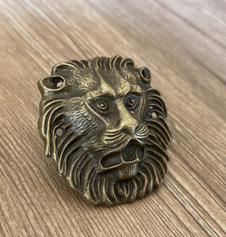 Brass Lion Drawer Knobs / Lion / Gothic Home Decor / Etsy