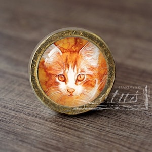 Könnte beinhalten: Ein runder, messingfarbener Schrank-Knopf mit einem Glaseinsatz, der ein gemaltes Bild eines rotbraunen Kätzchens mit weißen Markierungen zeigt. Die Augen des Kätzchens sind grün und es schaut direkt auf den Betrachter.