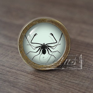 Insect—Handmade Vintage Antique Drawer Knobs Pulls Handles/Dresser Knobs Cabinet Pull handles / Furniture Hardware